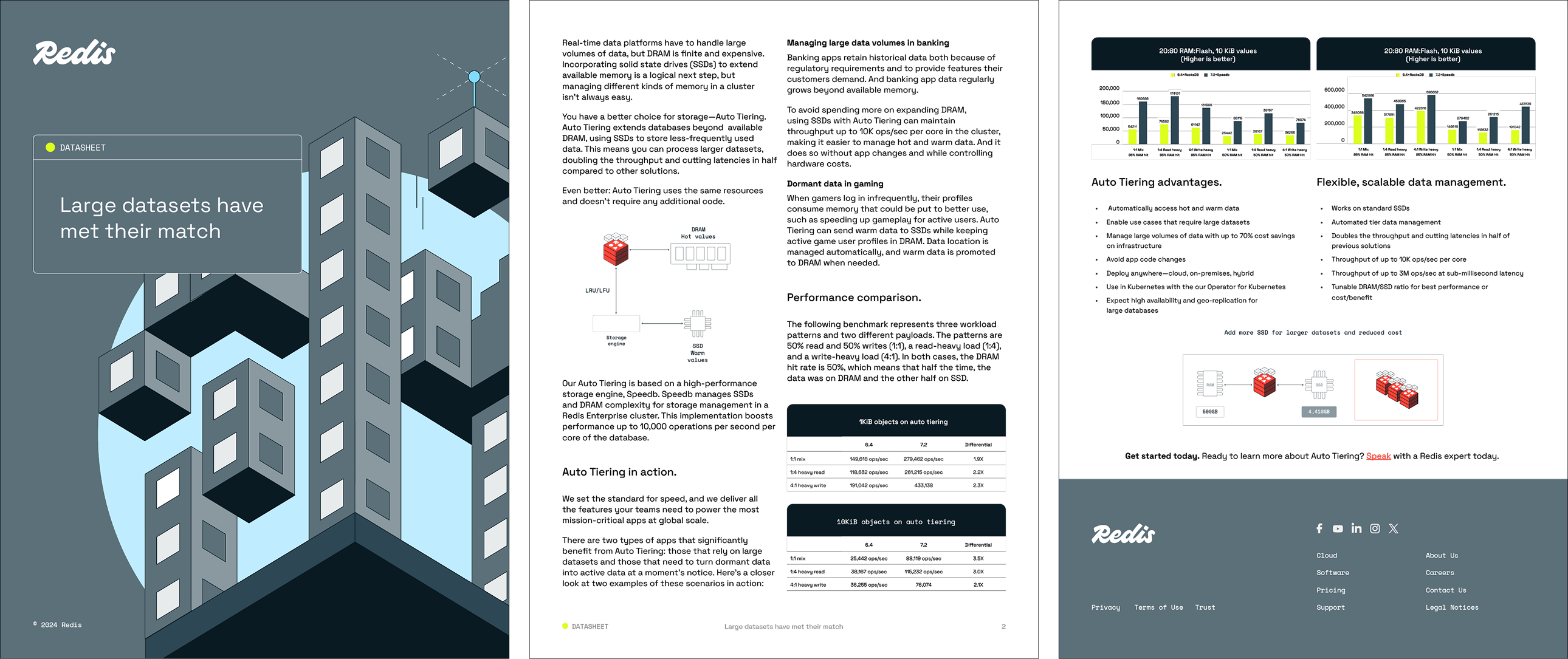 Redis Datasheet Autotiering